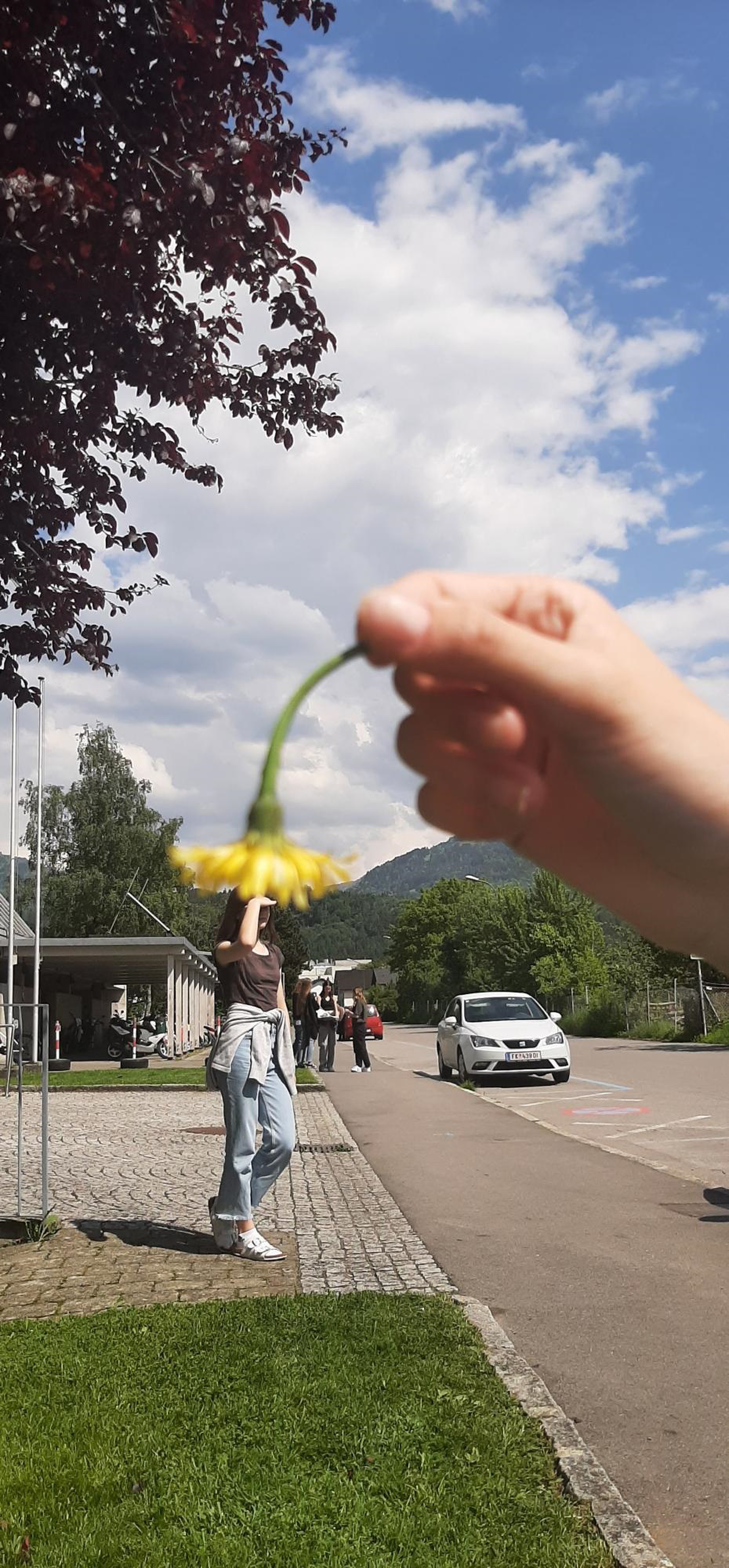 Optische Täuschungen auf dem Schulhof