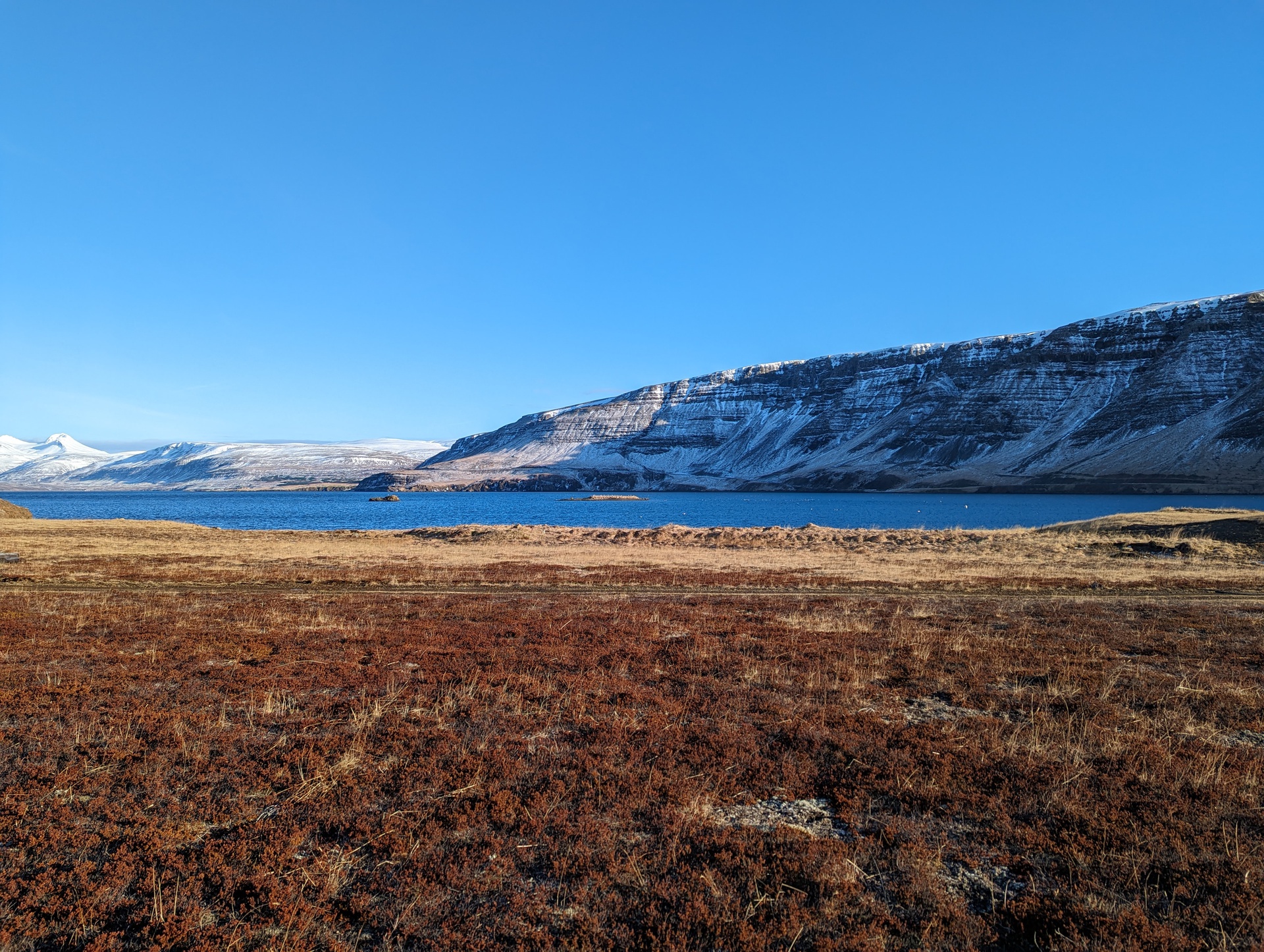 Góðan daginn Island!