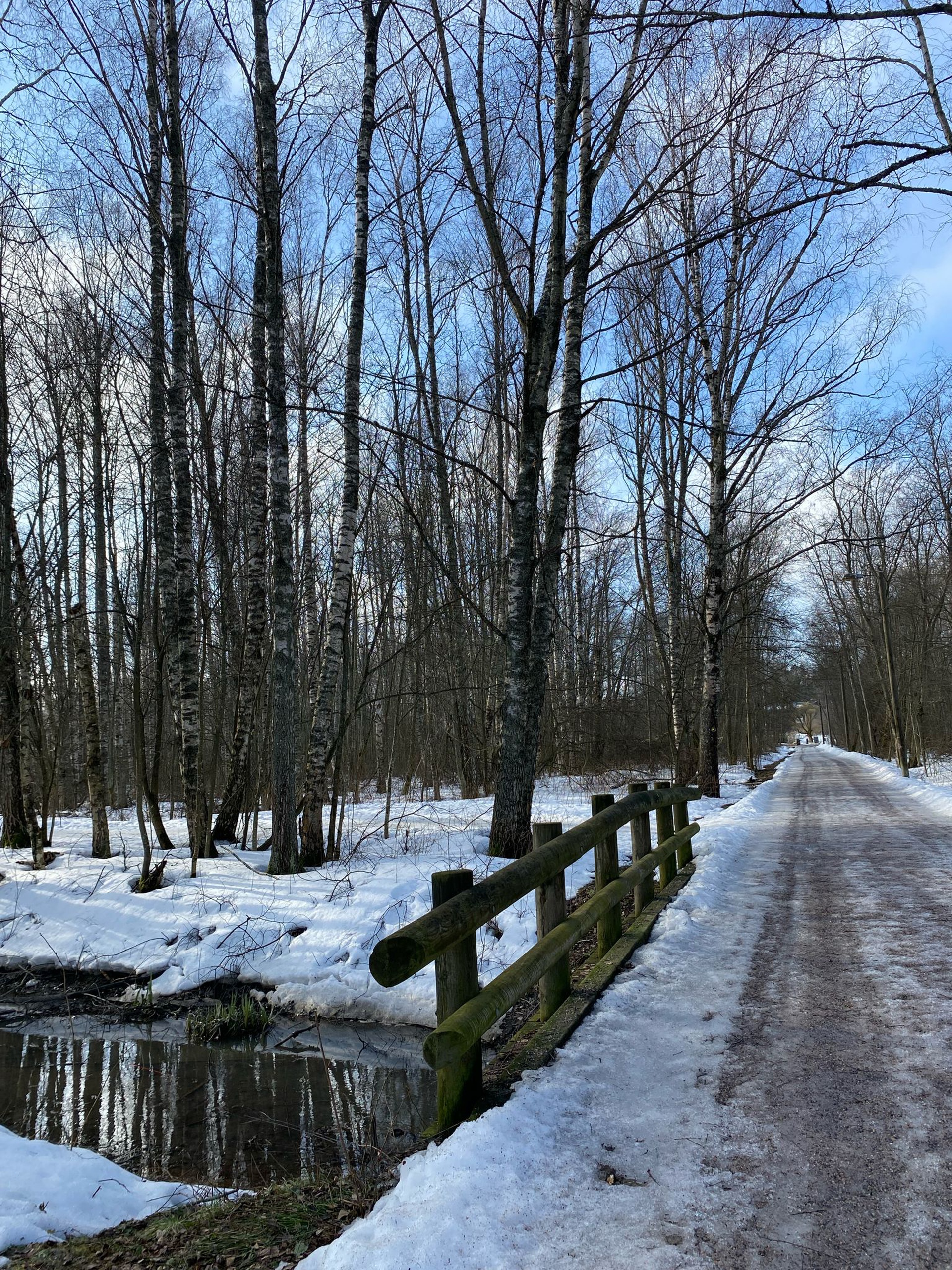 Meine Einzelmobilität in Finnland