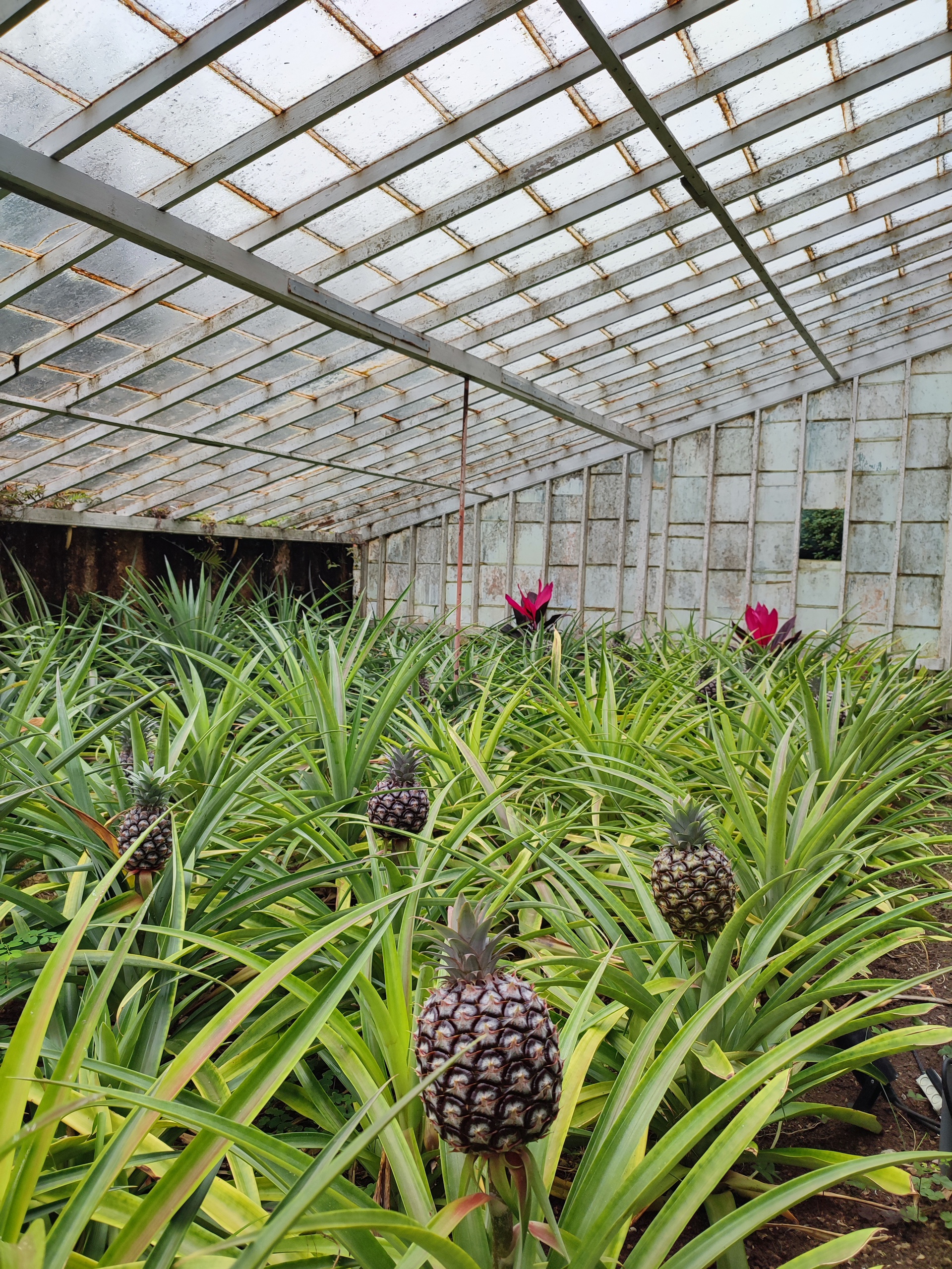 Erasmus+ Einzelmobilitäten - Mitten im Atlantik