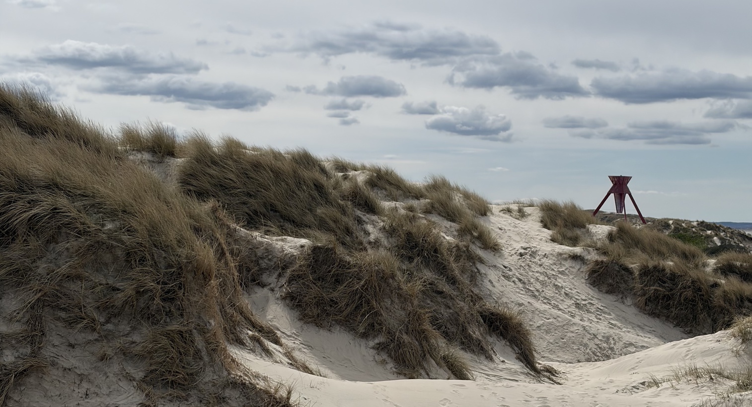 Wie man in Dänemark lernt und lebt