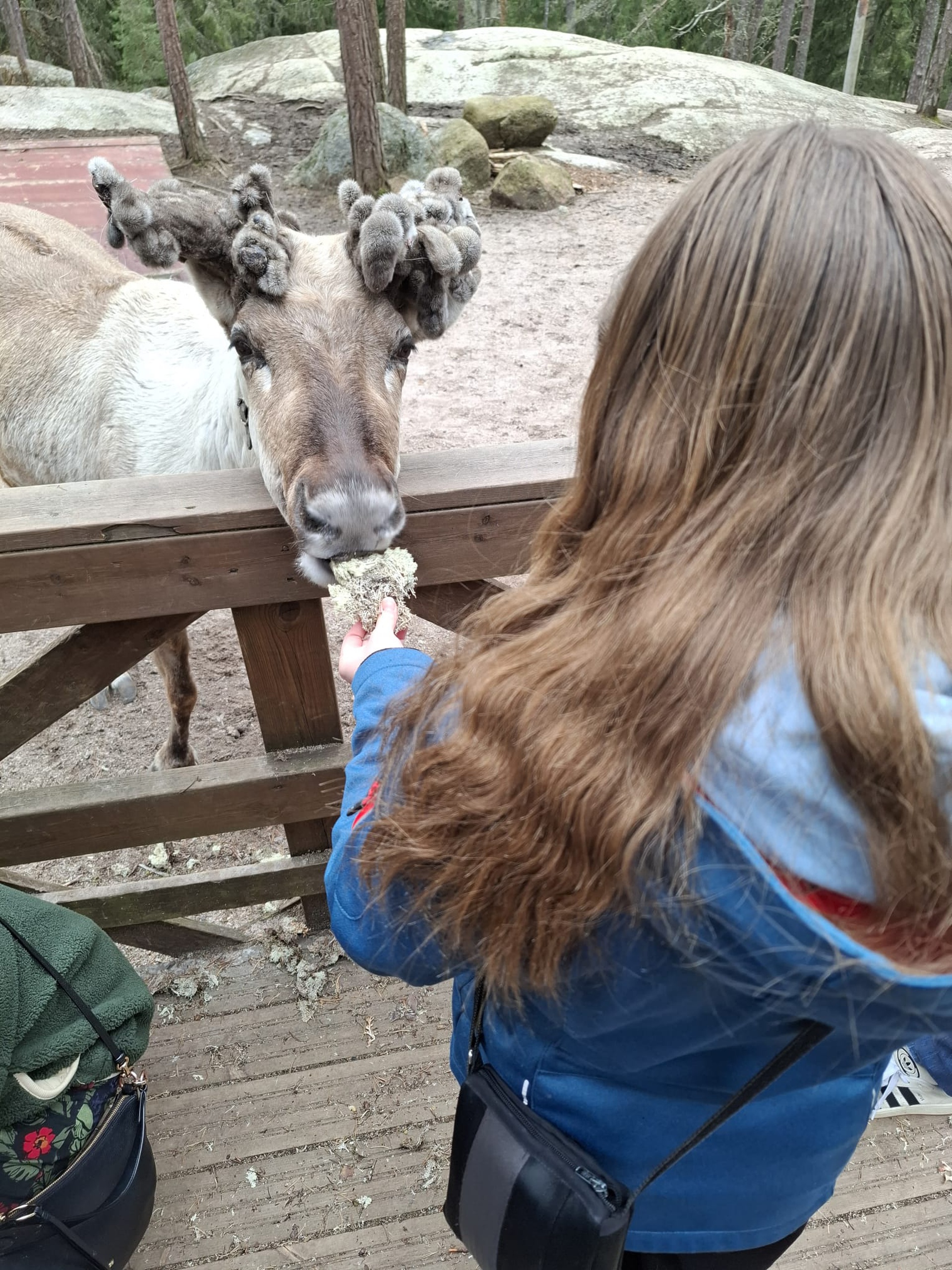 Mein Auslandsaufenthalt in Finnland