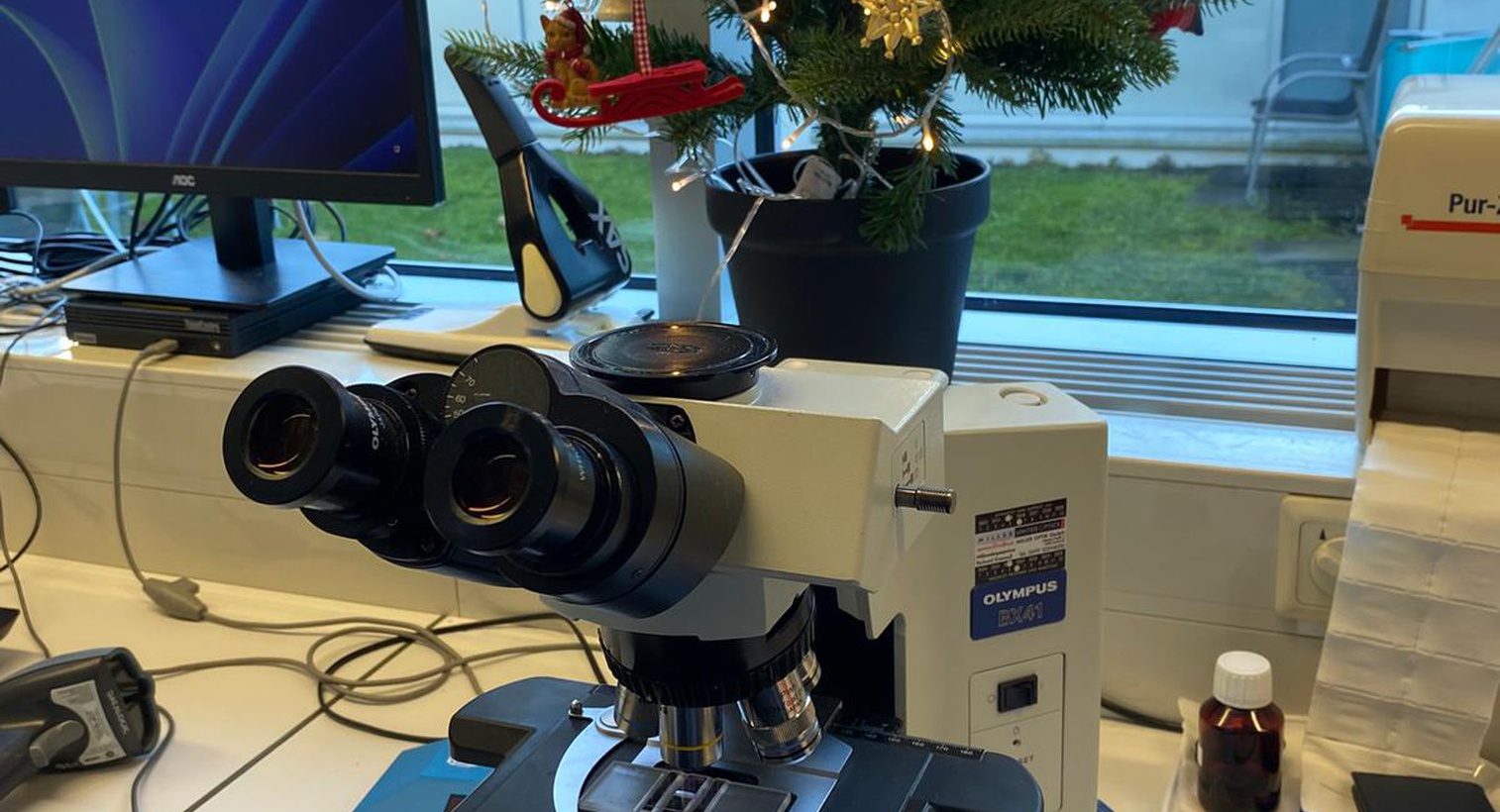 Medizinisches Labor Feldkirch