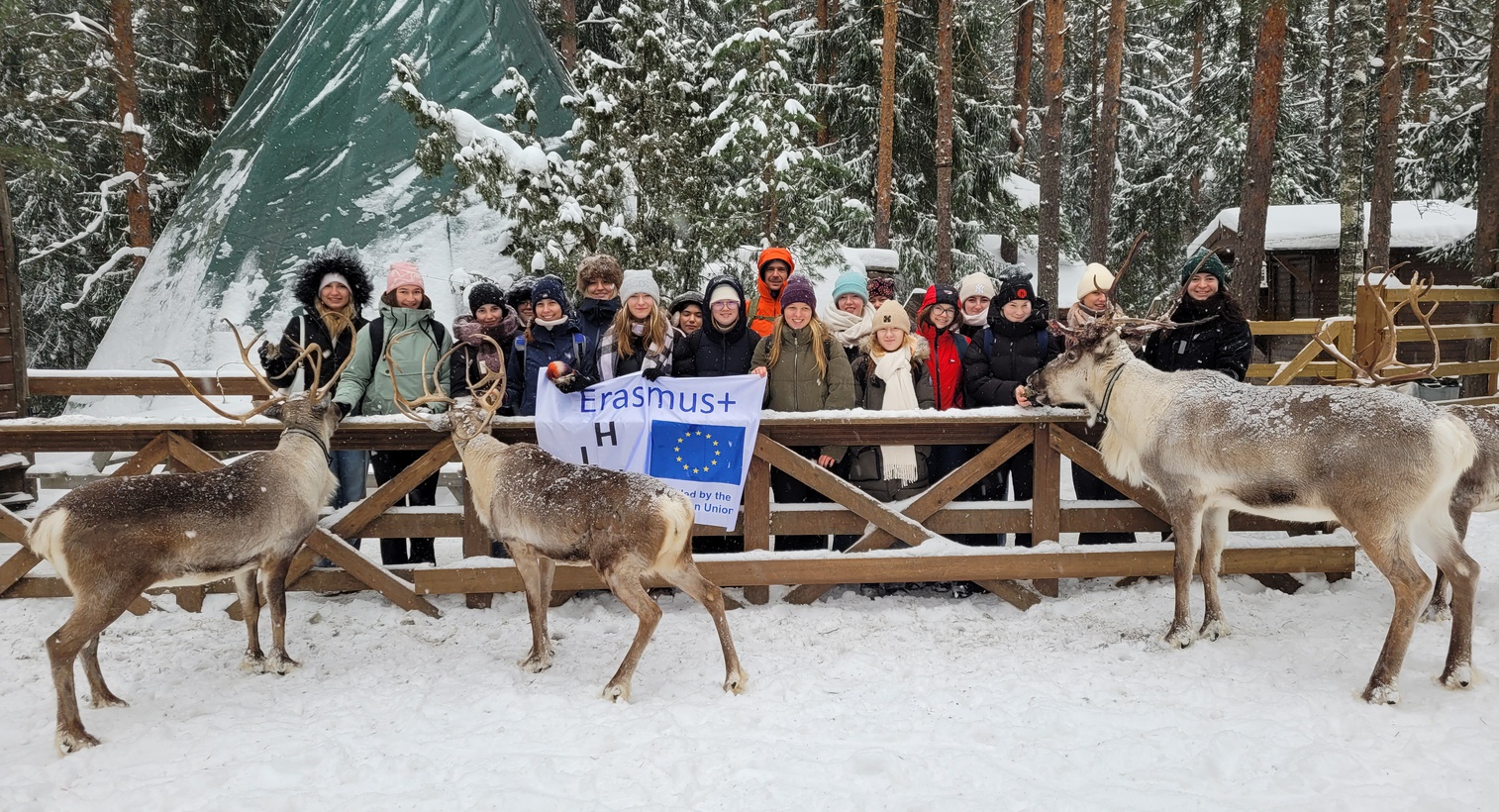Eine Woche in Finnland zwischen Rentieren und Eiswasser