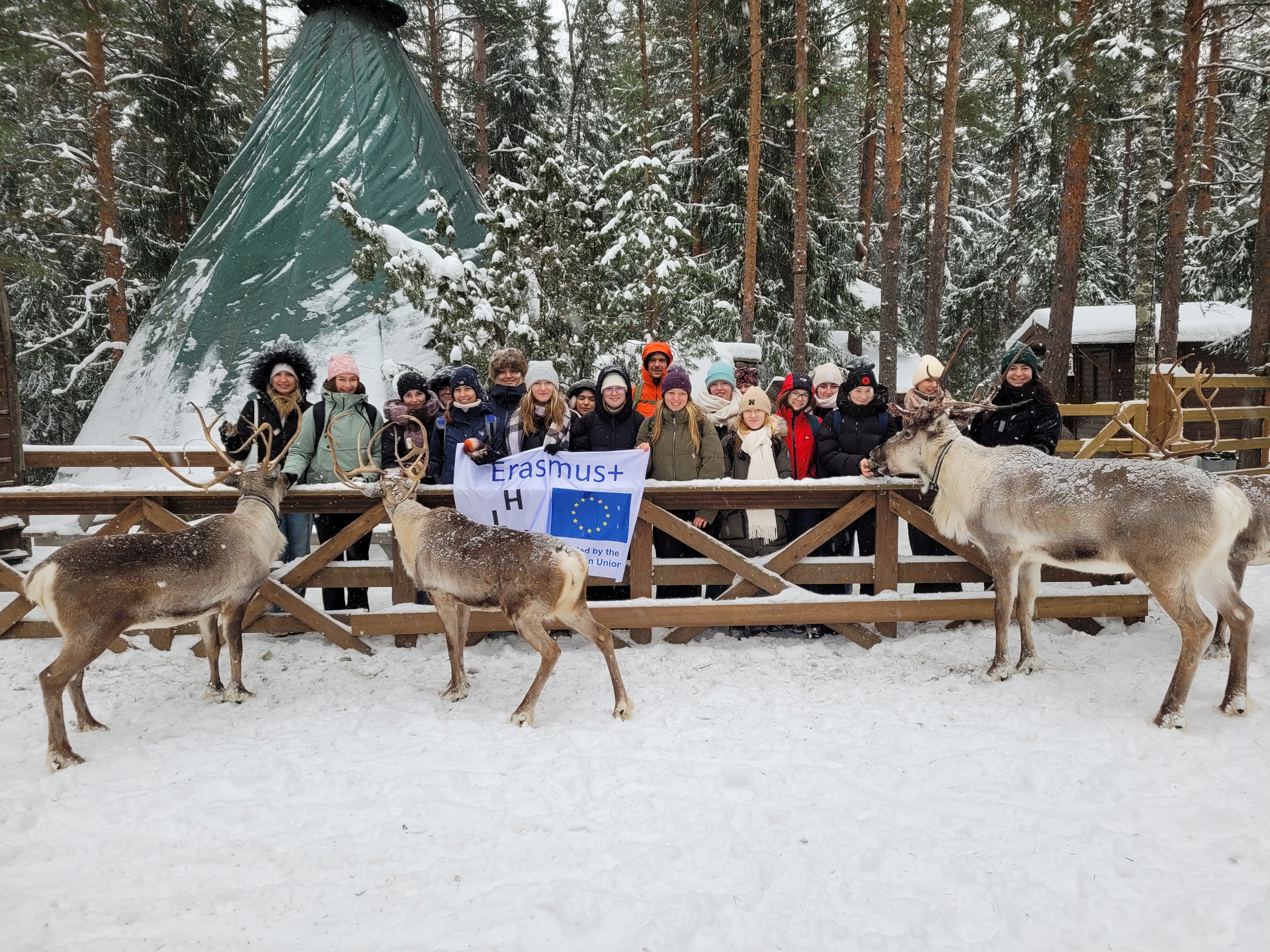 Eine Woche in Finnland zwischen Rentieren und Eiswasser