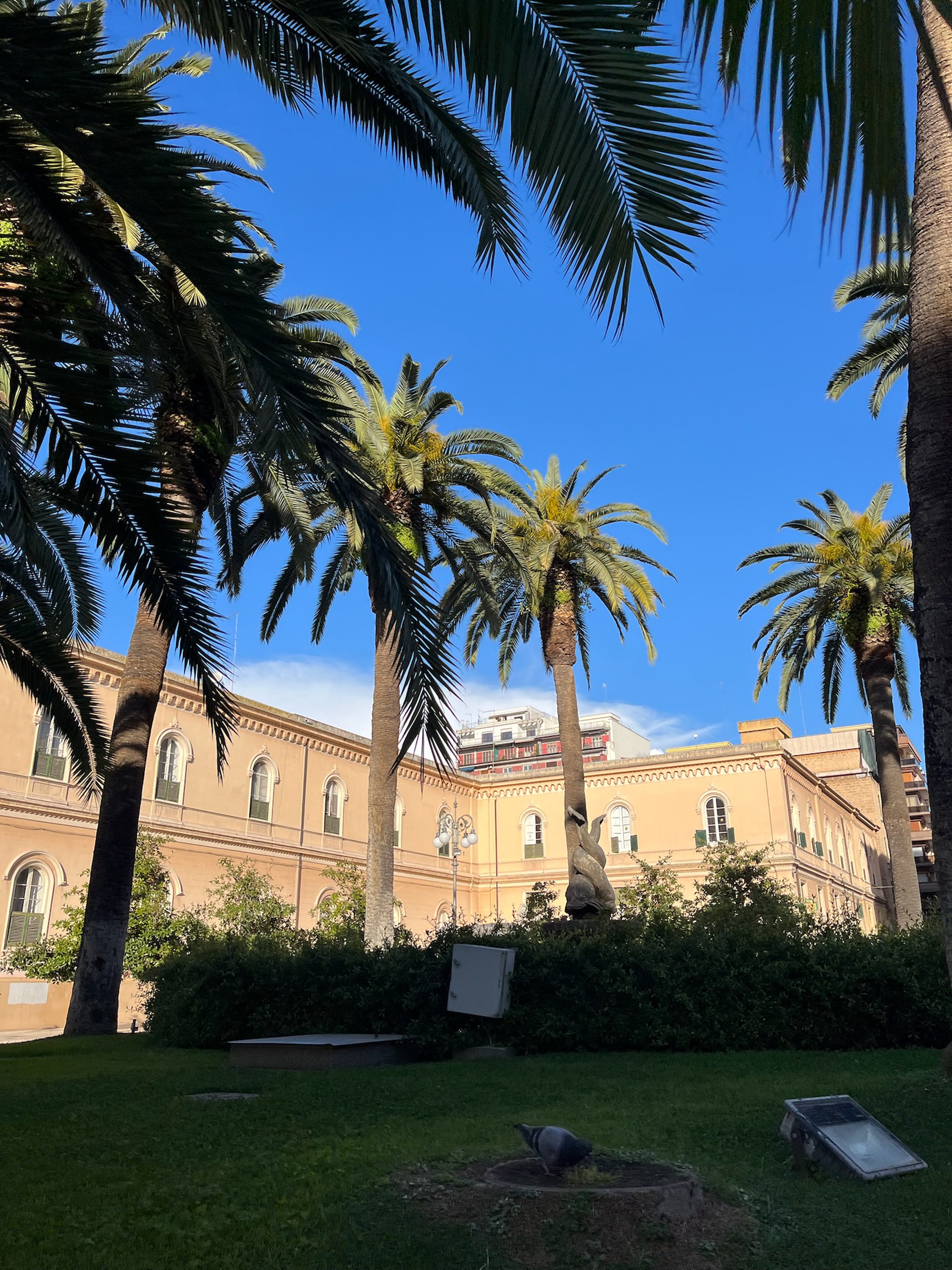 Ciao, bella Italia