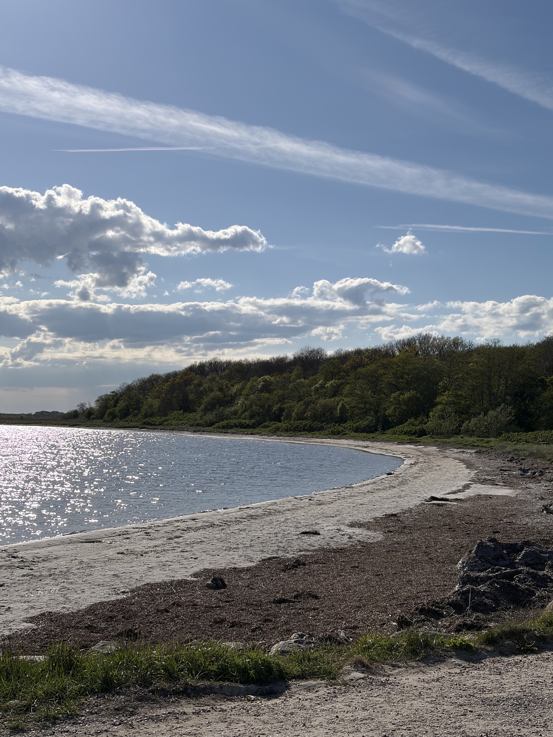 Wie man in Dänemark lernt und lebt