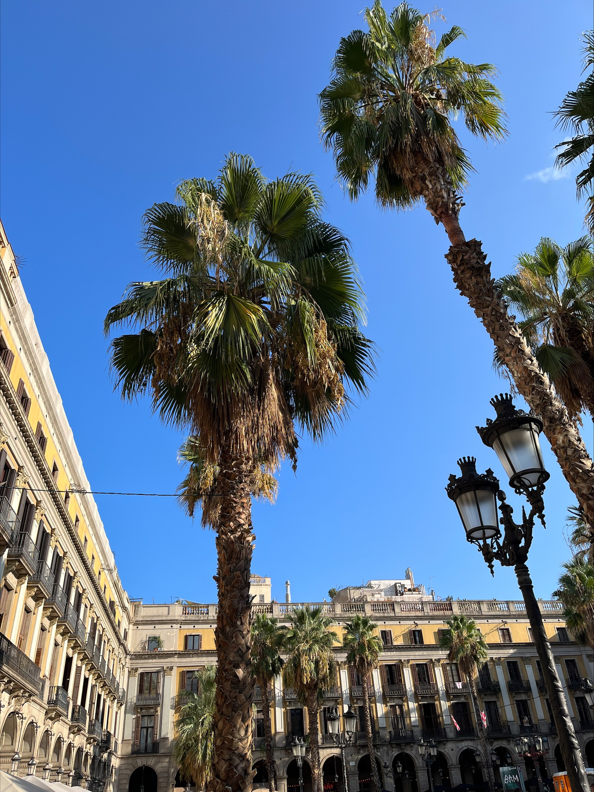 ¡Hola desde Barcelona!