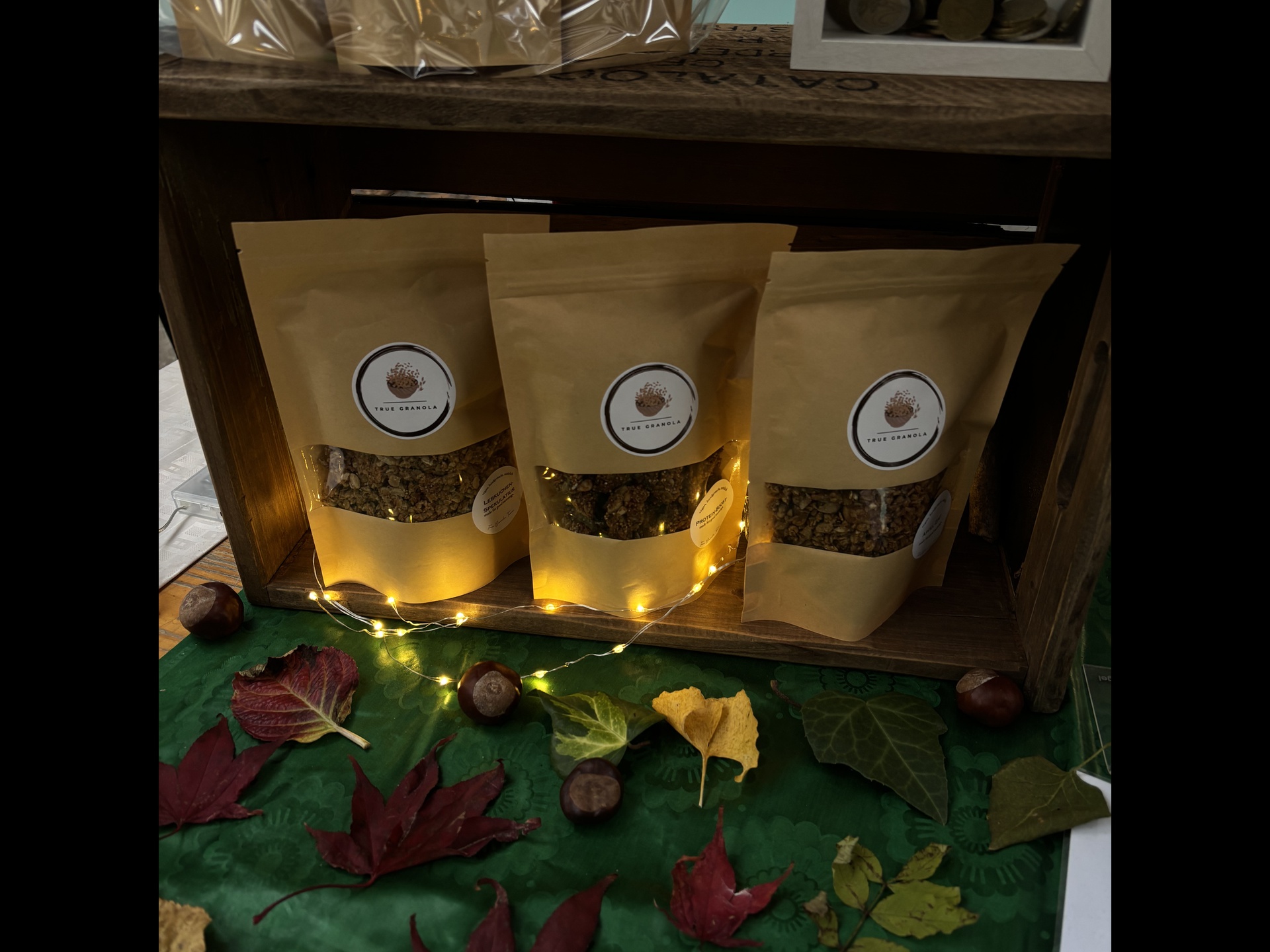 Junior Companies auf dem Martinimarkt 2025