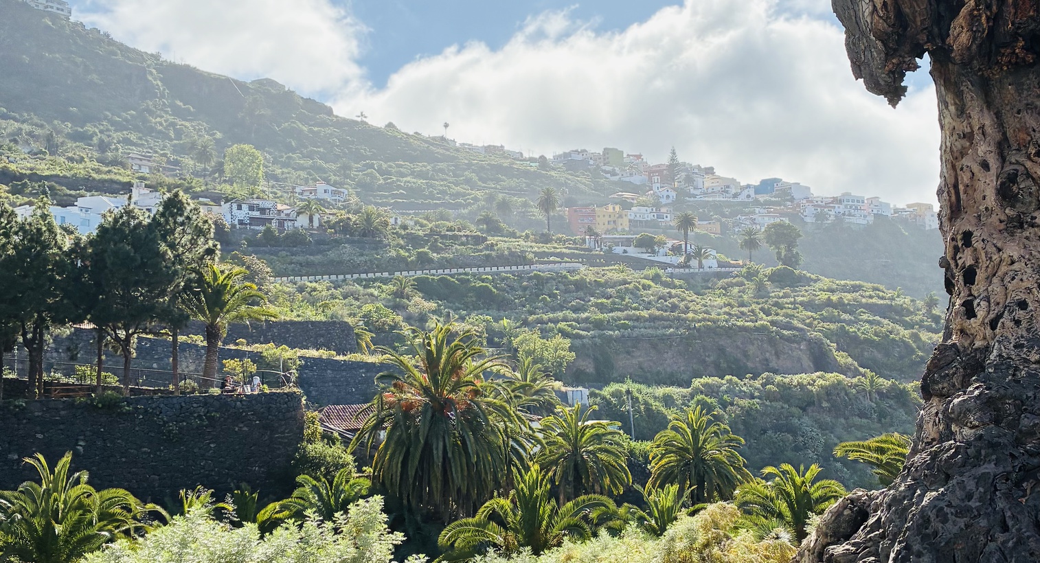Teneriffa hautnah: unser Erasmus-Austausch
