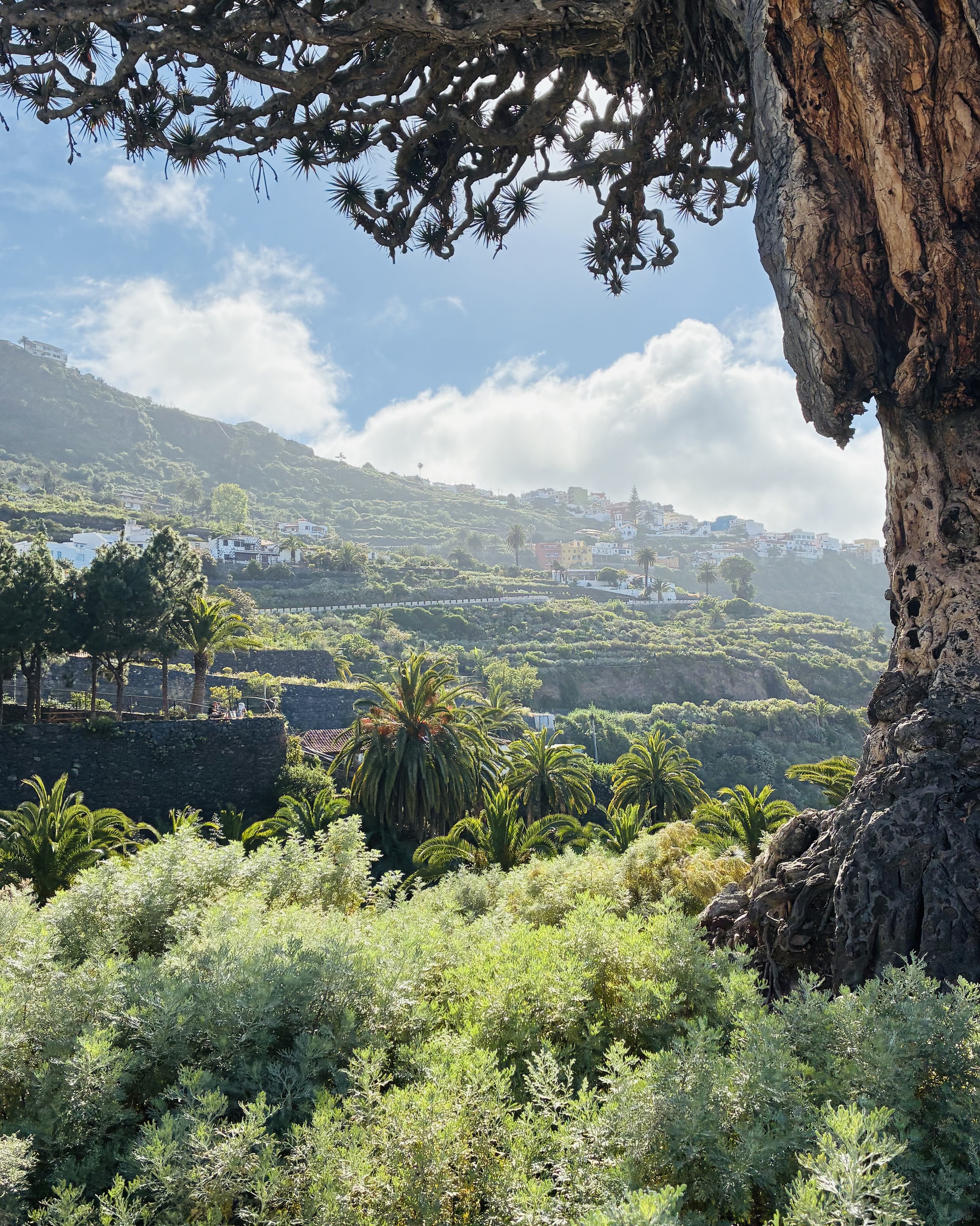 Teneriffa hautnah: unser Erasmus-Austausch