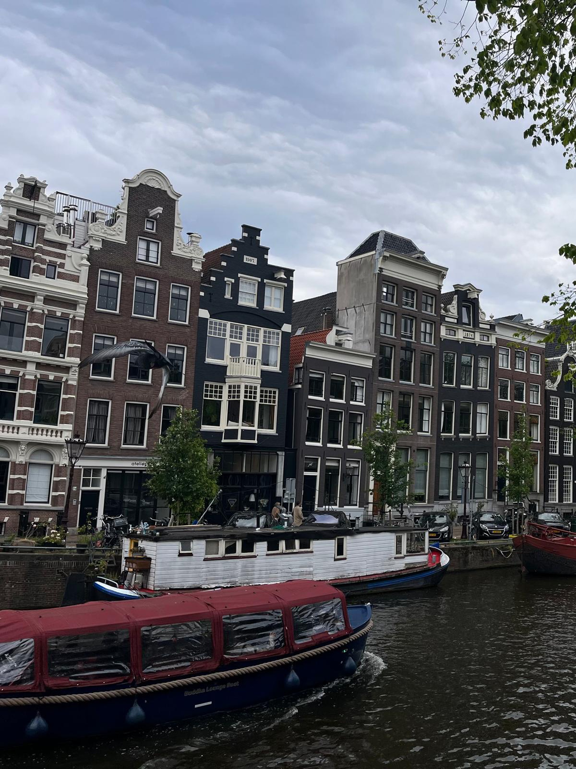 Mein Erasmus+ Aufenthalt in Amsterdam