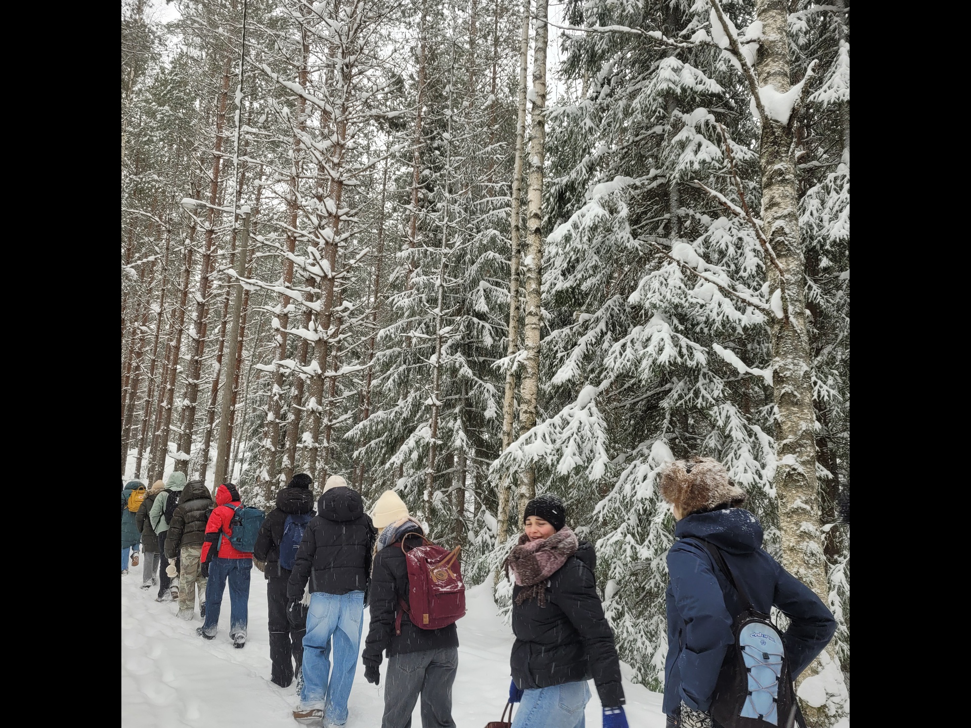 Eine Woche in Finnland zwischen Rentieren und Eiswasser