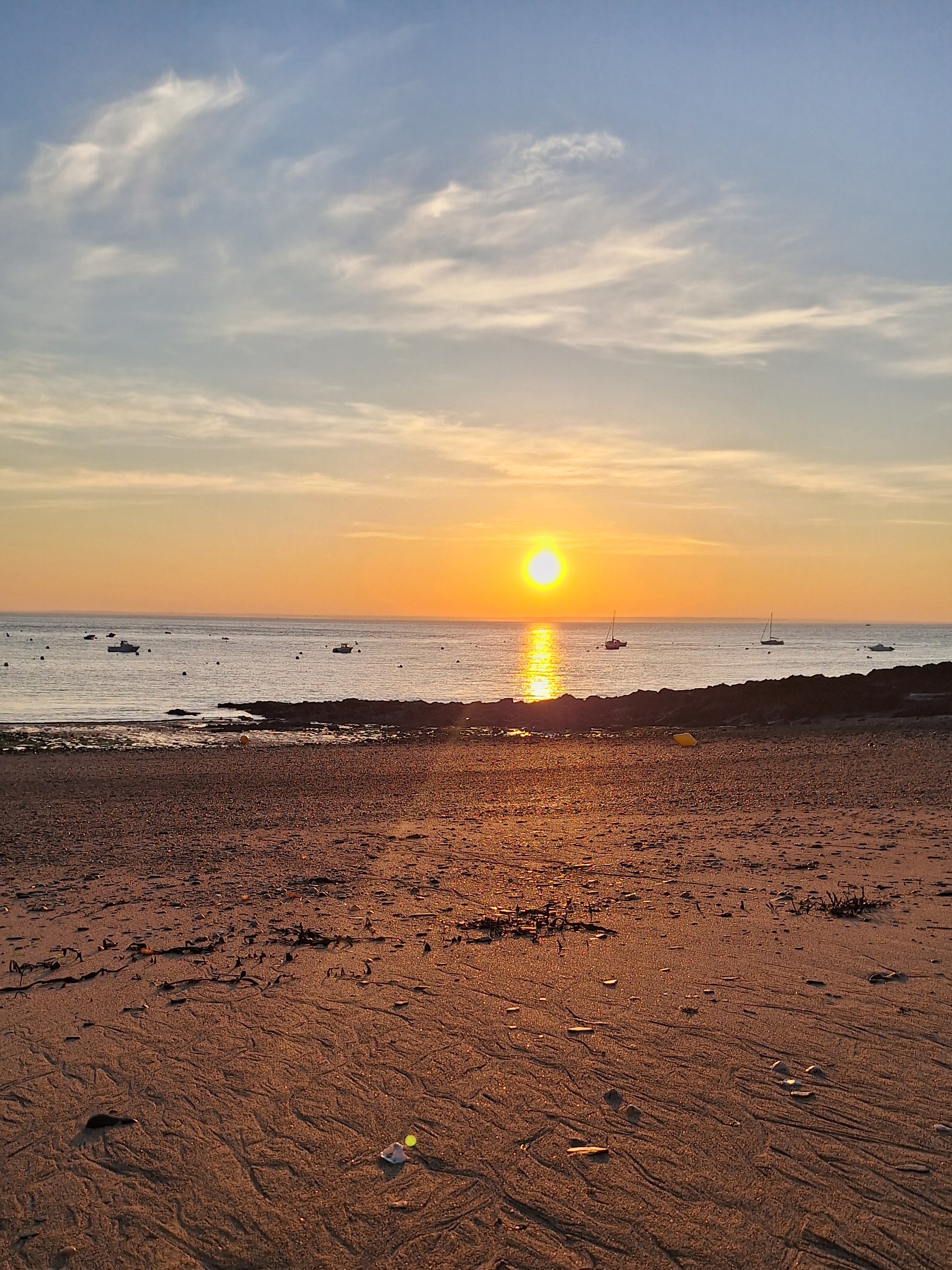 Bonjour tout le monde!